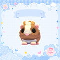 Chocolate Dutch Guinea Pig
