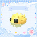 Puffer Fish