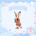 Hare