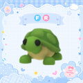 FR Turtle