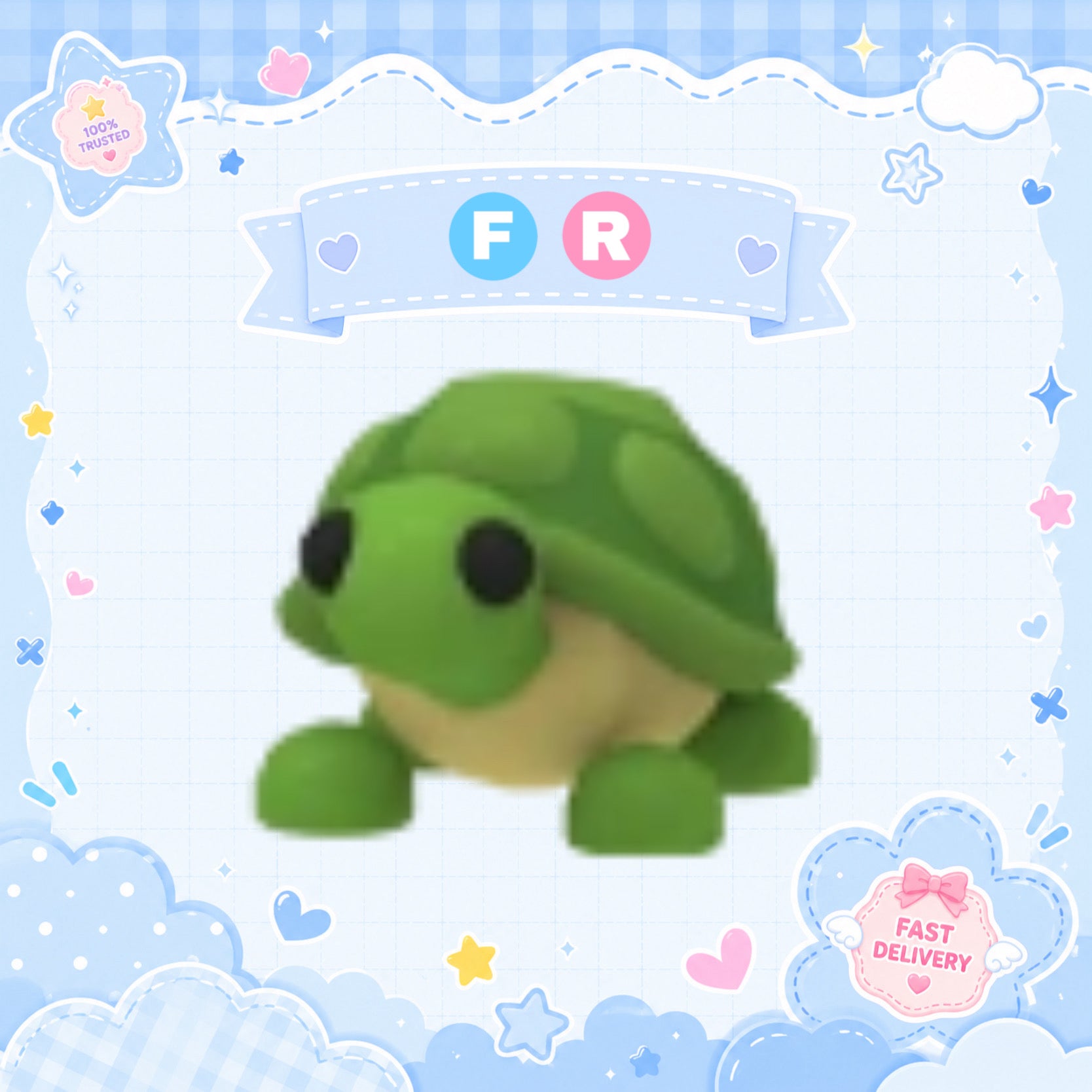 FR Turtle