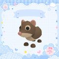 Shrew